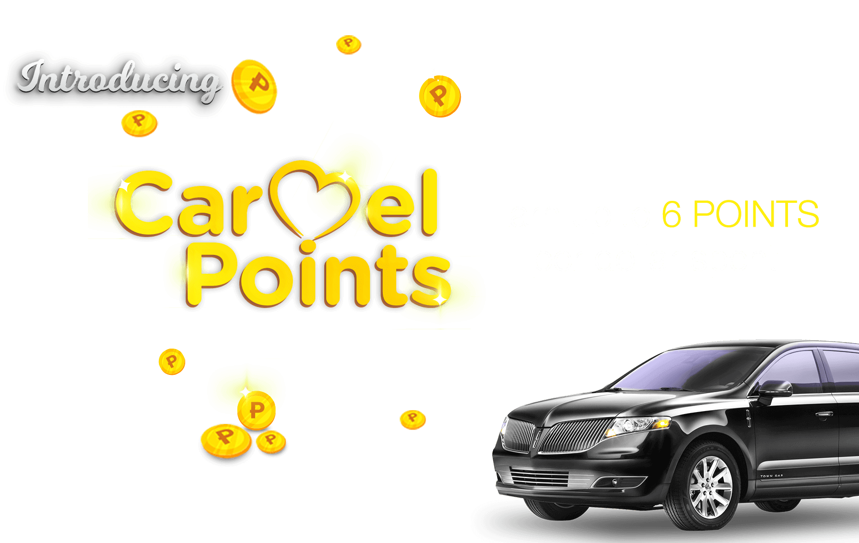 CarmelLimo NY Limousine Service New York City, Airport CarmelLimo NY Limousine Service New York City, Airport
